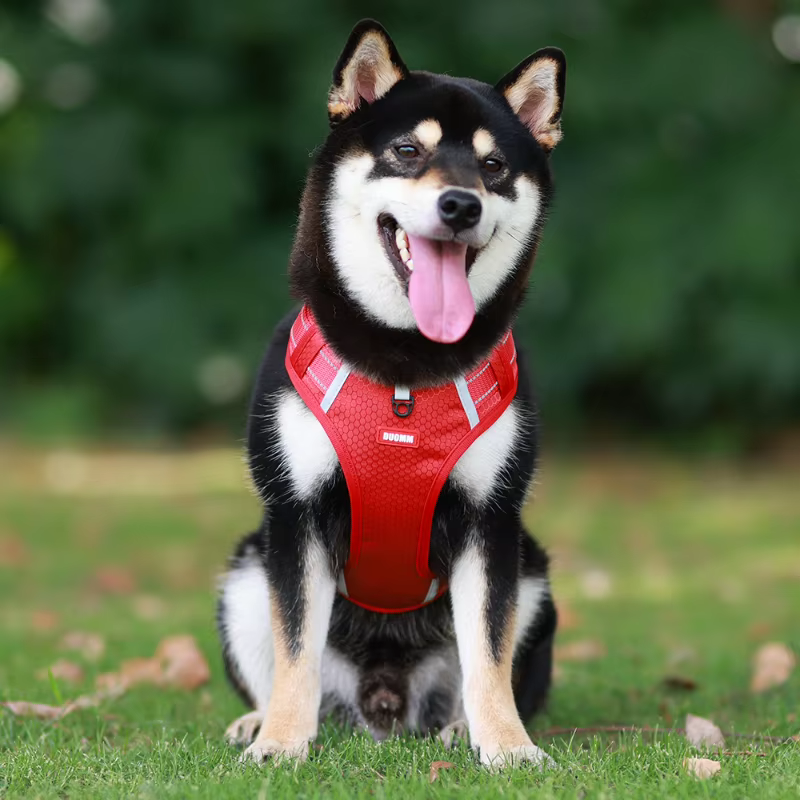 Pawsome Delights™ - No Pull Dog Harness