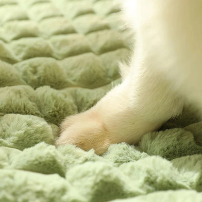 Cloud Calming Bed