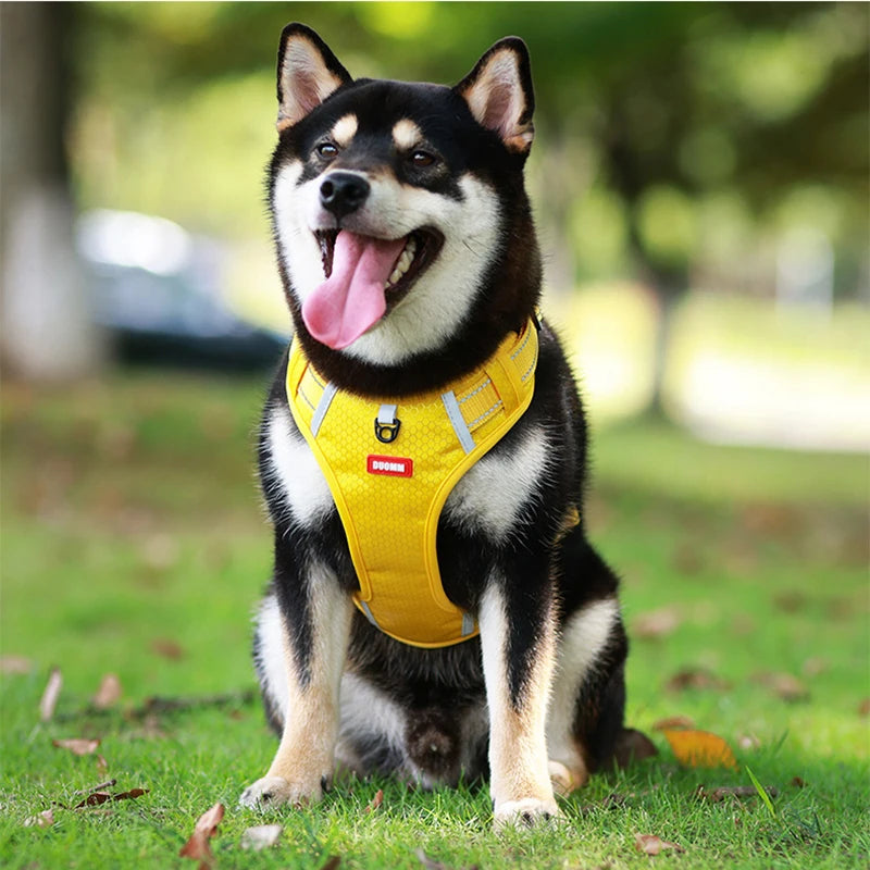 Pawsome Delights™ - No Pull Dog Harness