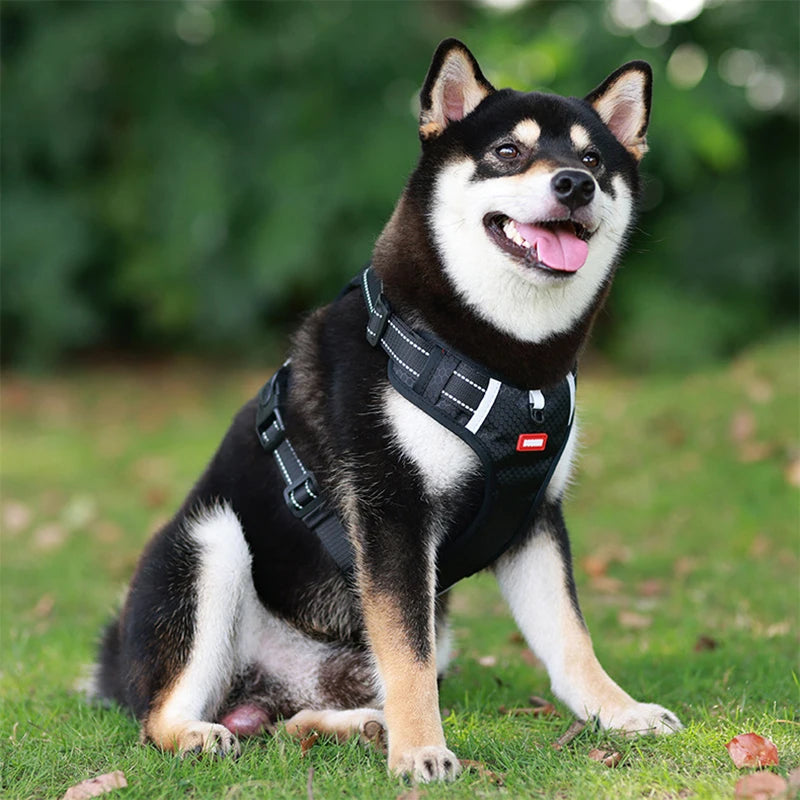 Pawsome Delights™ - No Pull Dog Harness