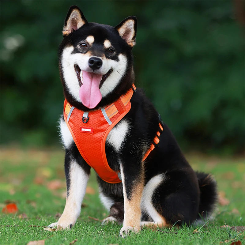 Pawsome Delights™ - No Pull Dog Harness